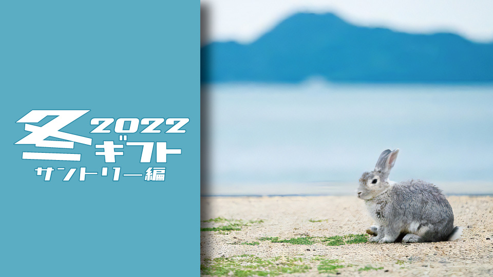 2022年 お歳暮 ウインターギフト サントリー編